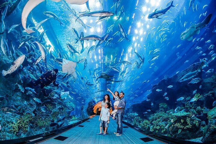 Dubai Aquarium & Underwater Zoo Tickets