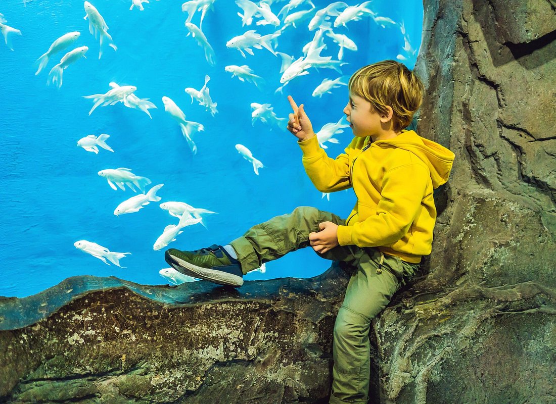 Dubai Aquarium & Underwater Zoo Tickets 4