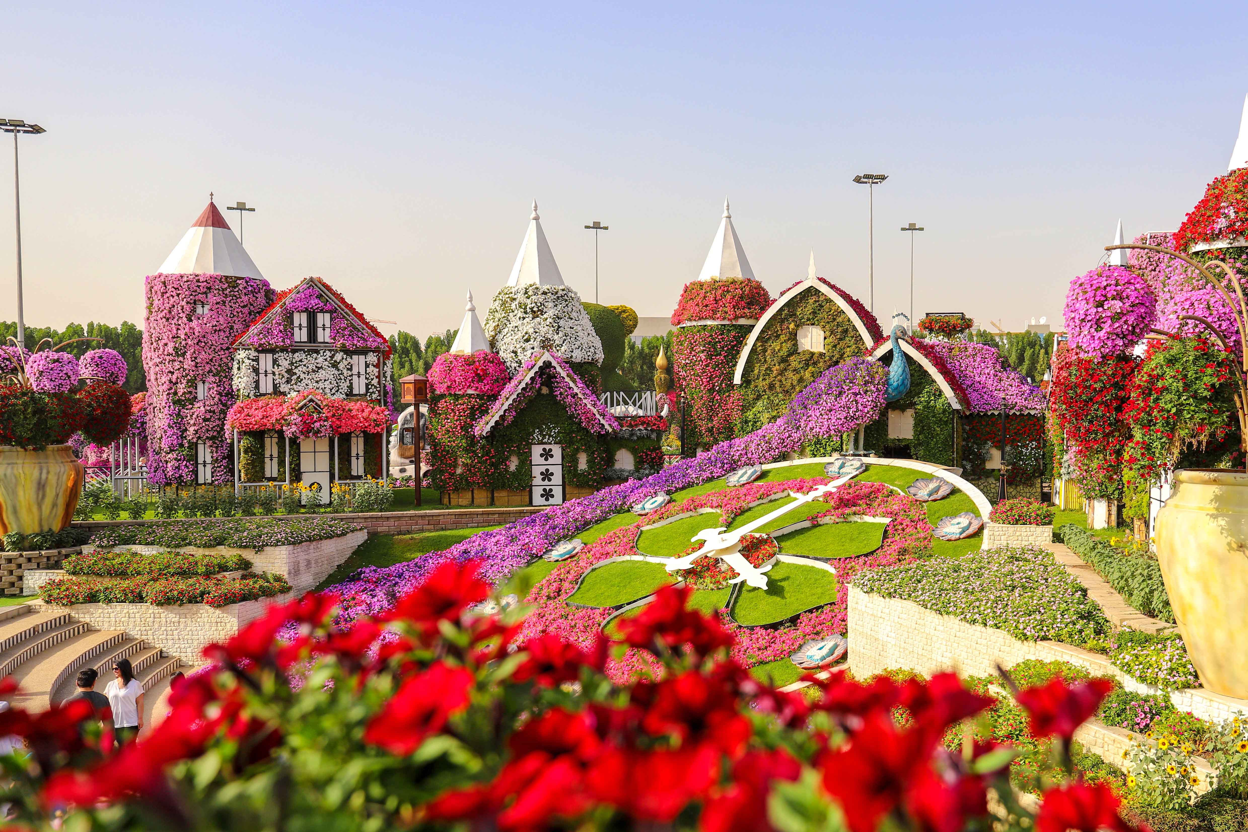 Dubai Miracle Garden Floral Wonderland Tickets 5